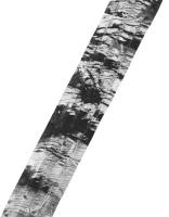 Sidescan mosaic